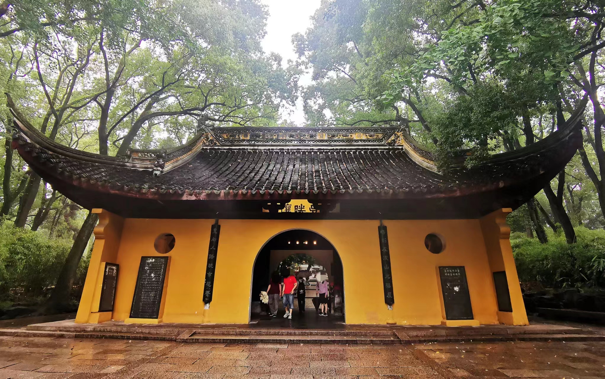 苏州虎丘茶花村,苏州最值得去的地方虎丘