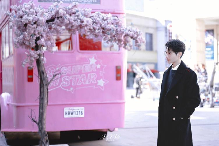 罗云熙的人生成就,罗云熙大器晚成