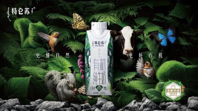 寒风中摇曳，特仑苏难为蒙牛“贴金”