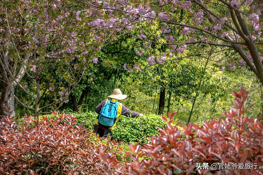武汉黄陂茶谷风景区,武汉市黄陂区后花园