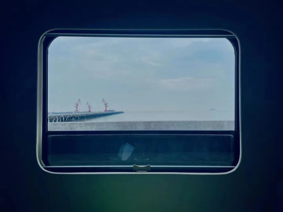 我在房车上隔离21天，拥抱了一小段上海的春天