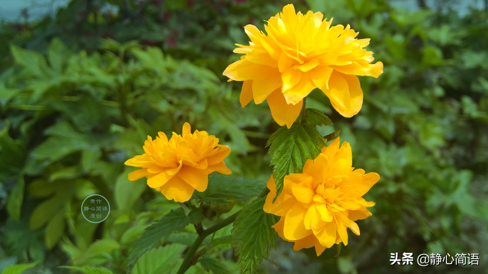 处在逆境如何保持心态,做人低调做事要注意什么