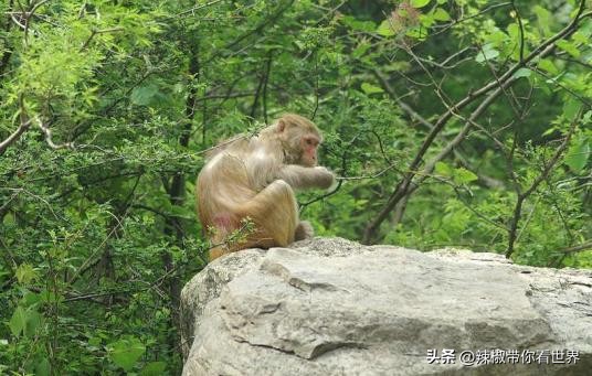 焦作大自然风景,焦作市文化圣地有哪些