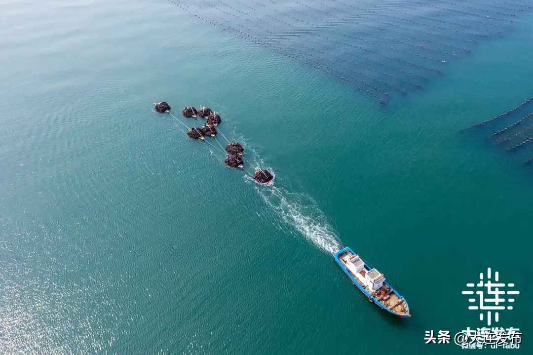 大连东北振兴最新消息,东北振兴辽宁发展大连先行