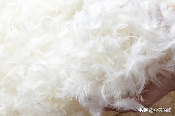 沙发怎么选购推荐款式图片,沙发怎样挑选