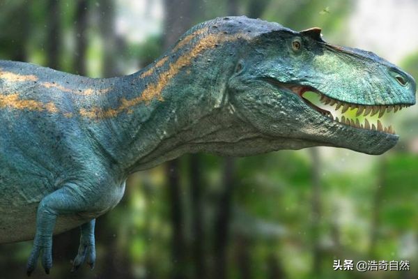 霸王龙基因琥珀,基因霸王龙