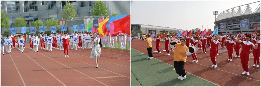 集团第十二届职工运动会圆满结束,集团职工运动会