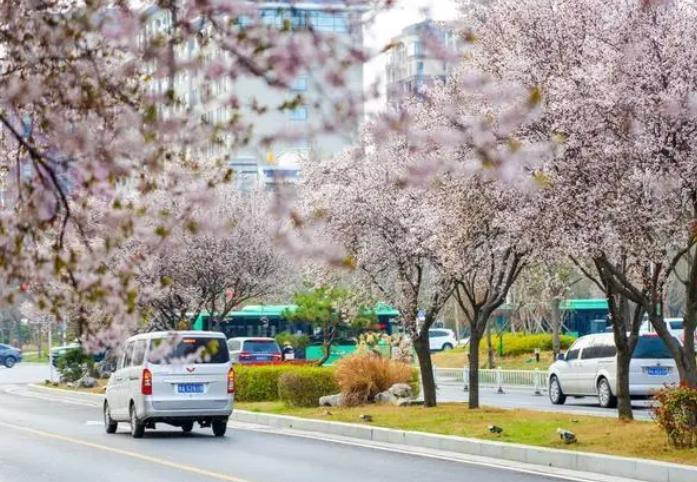 郑州适合露营的小众野地,郑州周边适合徒步露营的地方