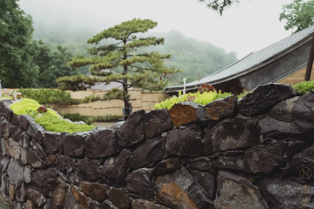 罗莱夏朵香缇,罗莱夏朵探店