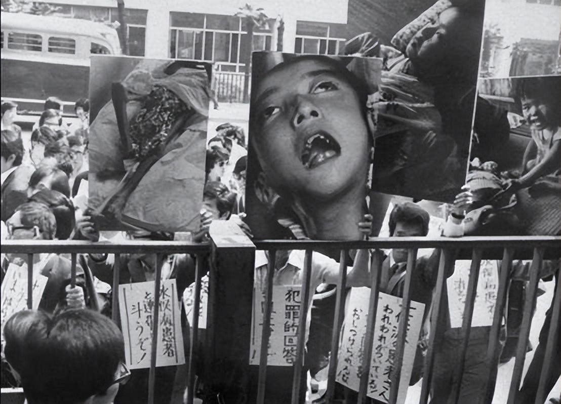 日本猫跳海,日本猫跳海事件