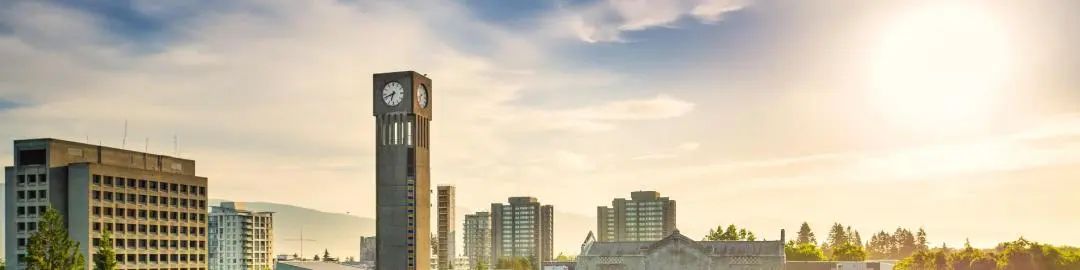 港大比较好申请的专业,港大最容易申请的专业有哪些