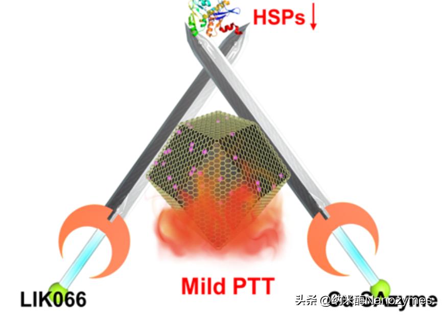 「转载」Angew.Chem.Int.Ed.|Cu单原子纳米酶用于光热疗法