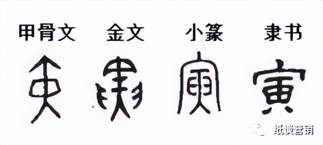 十二地支本身的字义,十二地支的详尽解释图