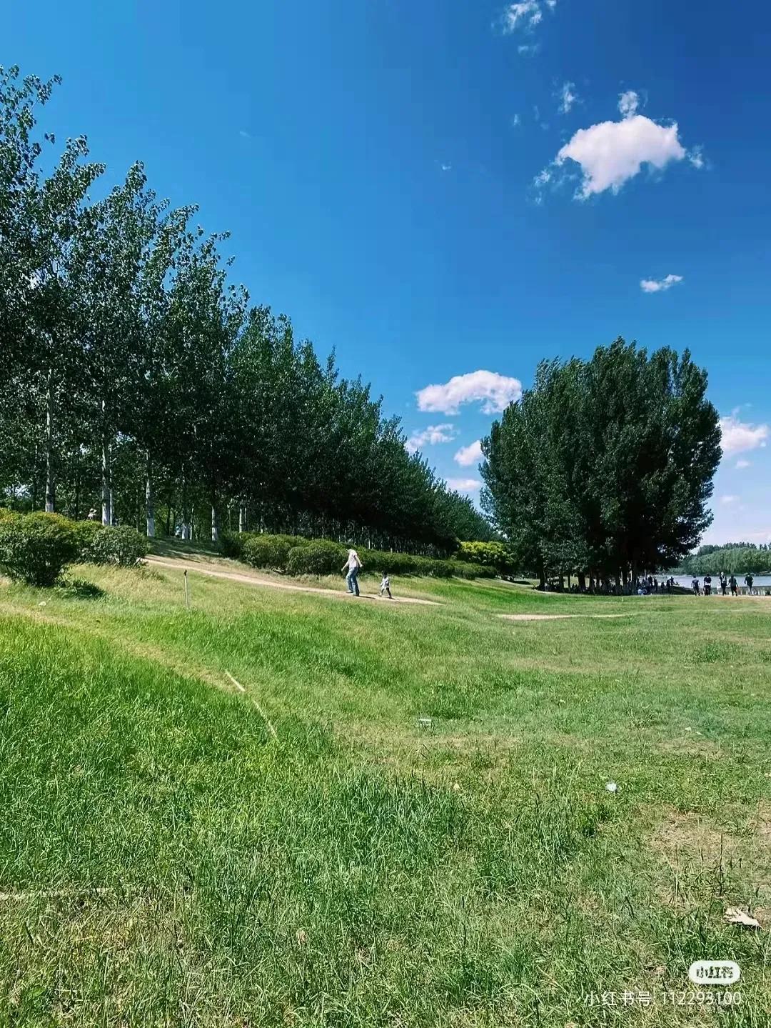 北京十一免费露营野餐地点推荐,又是一年野餐季