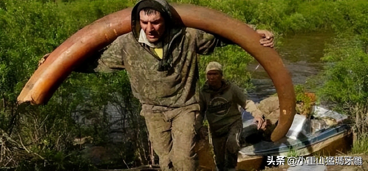 良心商家的大实话,良心卖家讲实话