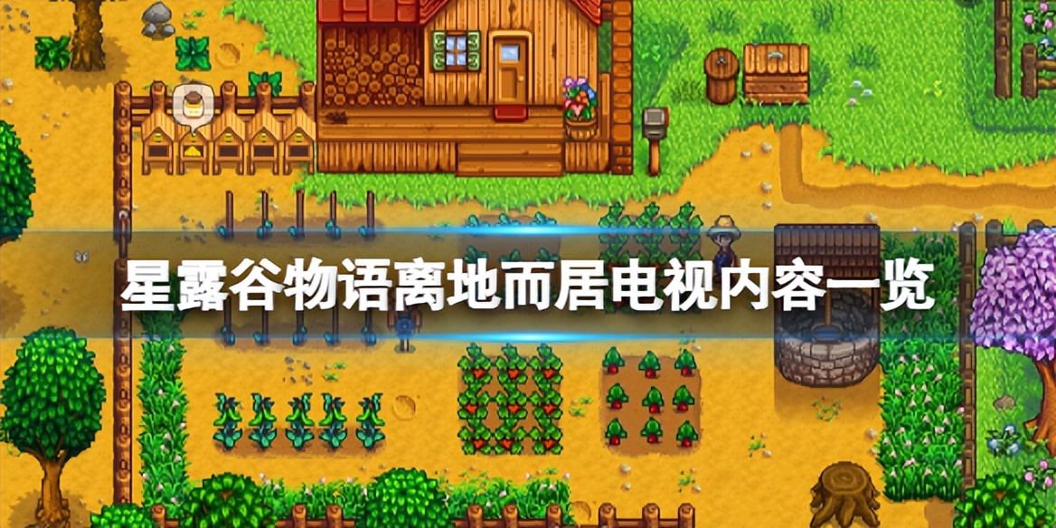 星露谷物语音乐谜题洞穴在哪里,星露谷物语圣诞节选什么