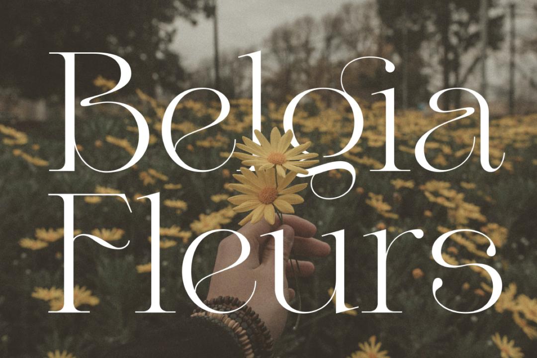 ttf纯英文好看字体,ttf英文字体