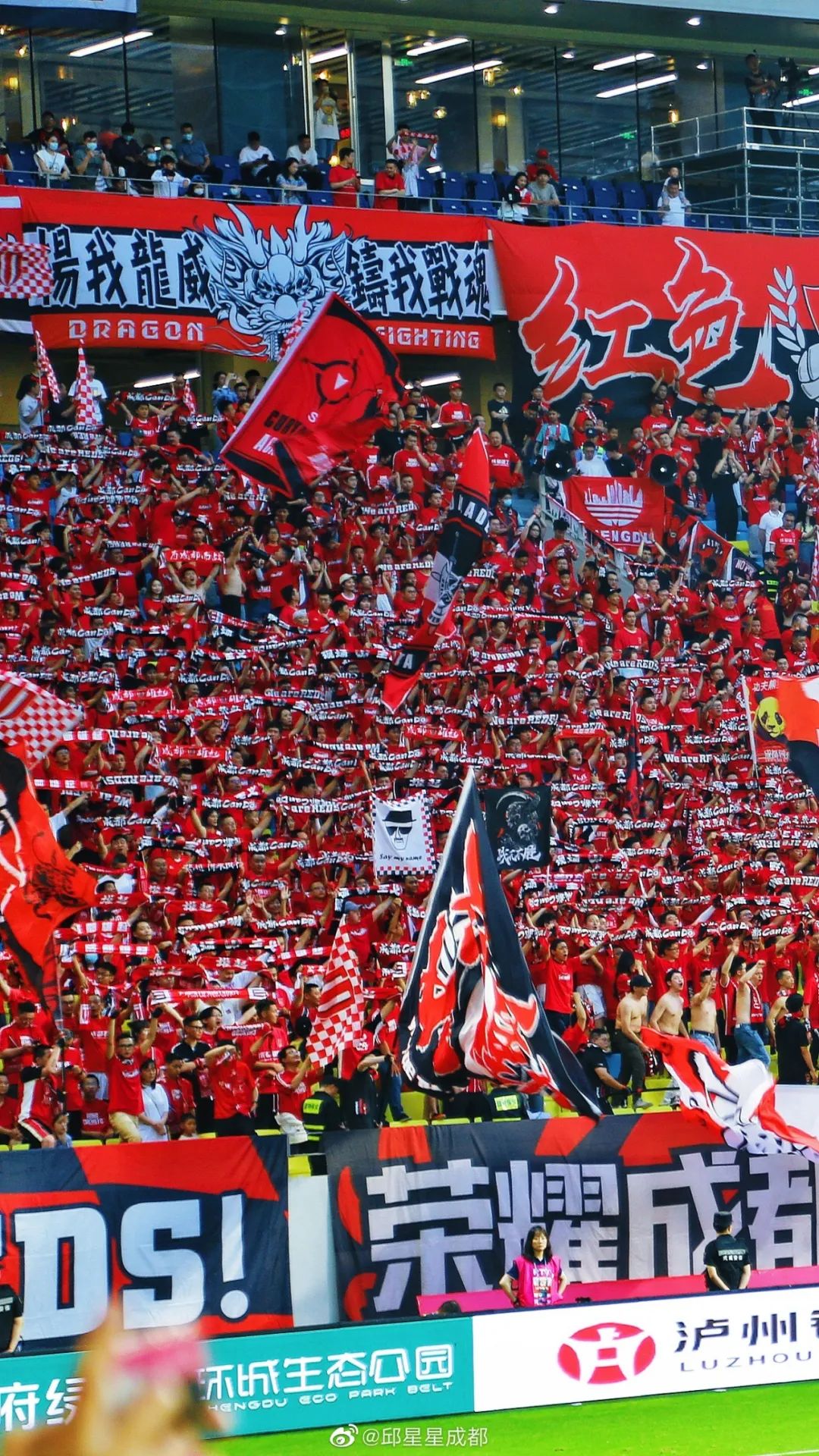 成都蓉城足球队2024年赛程表,成都蓉城足球最新动态分析