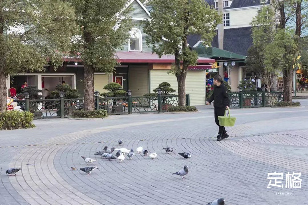 不用出国在深圳看到的美景,深圳有什么景点去看的不要钱的