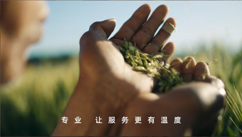 平安金管家保险怎么在线退保,平安保险怎么退保最好