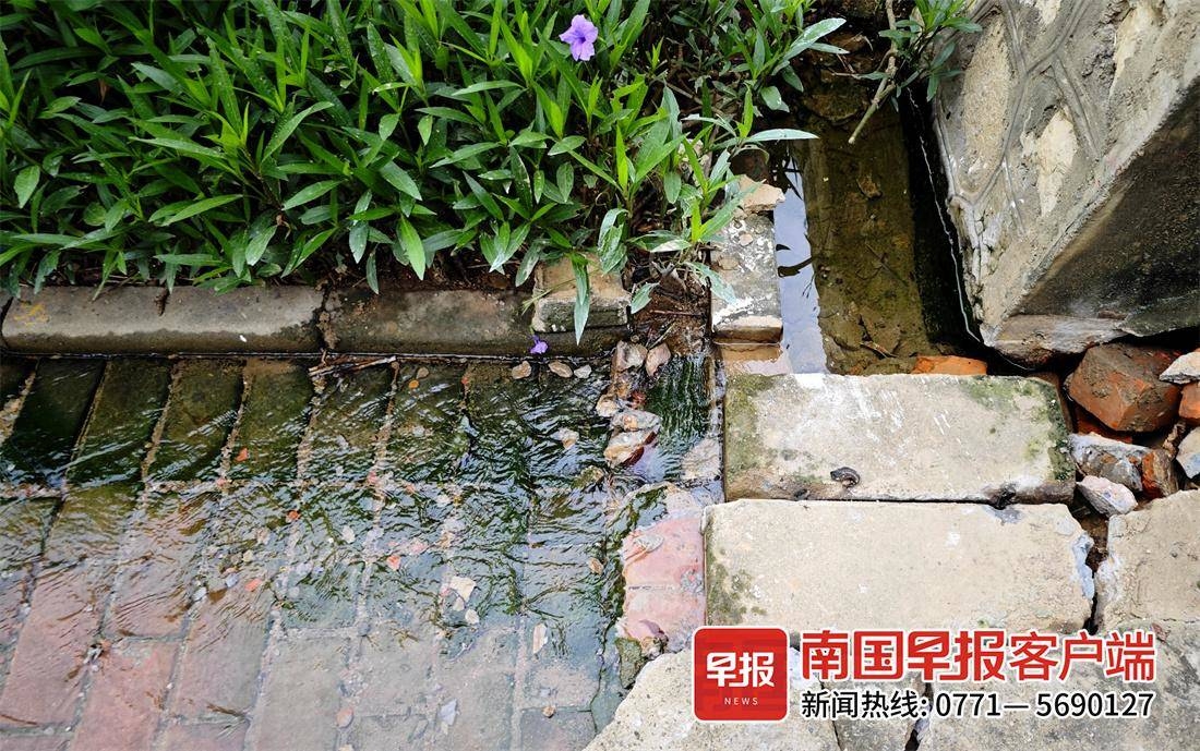 广西出现神秘泉水,广西南宁地下冒水视频