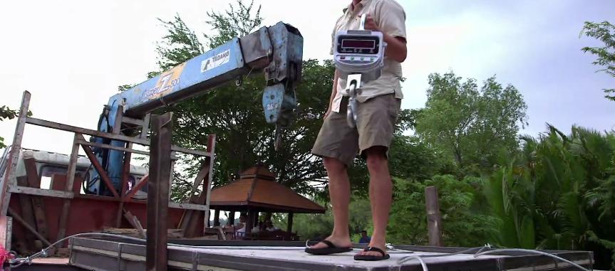 打捞巨型魟鱼,巨大魟鱼