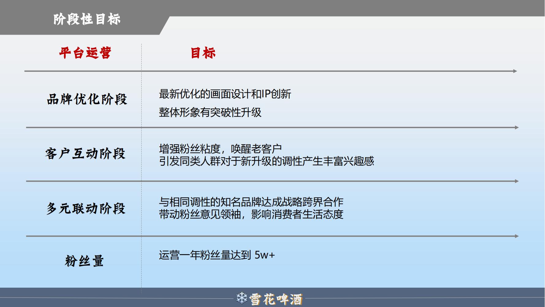 雪花啤酒品牌策划方案范文ppt,品牌啤酒的营销策划书