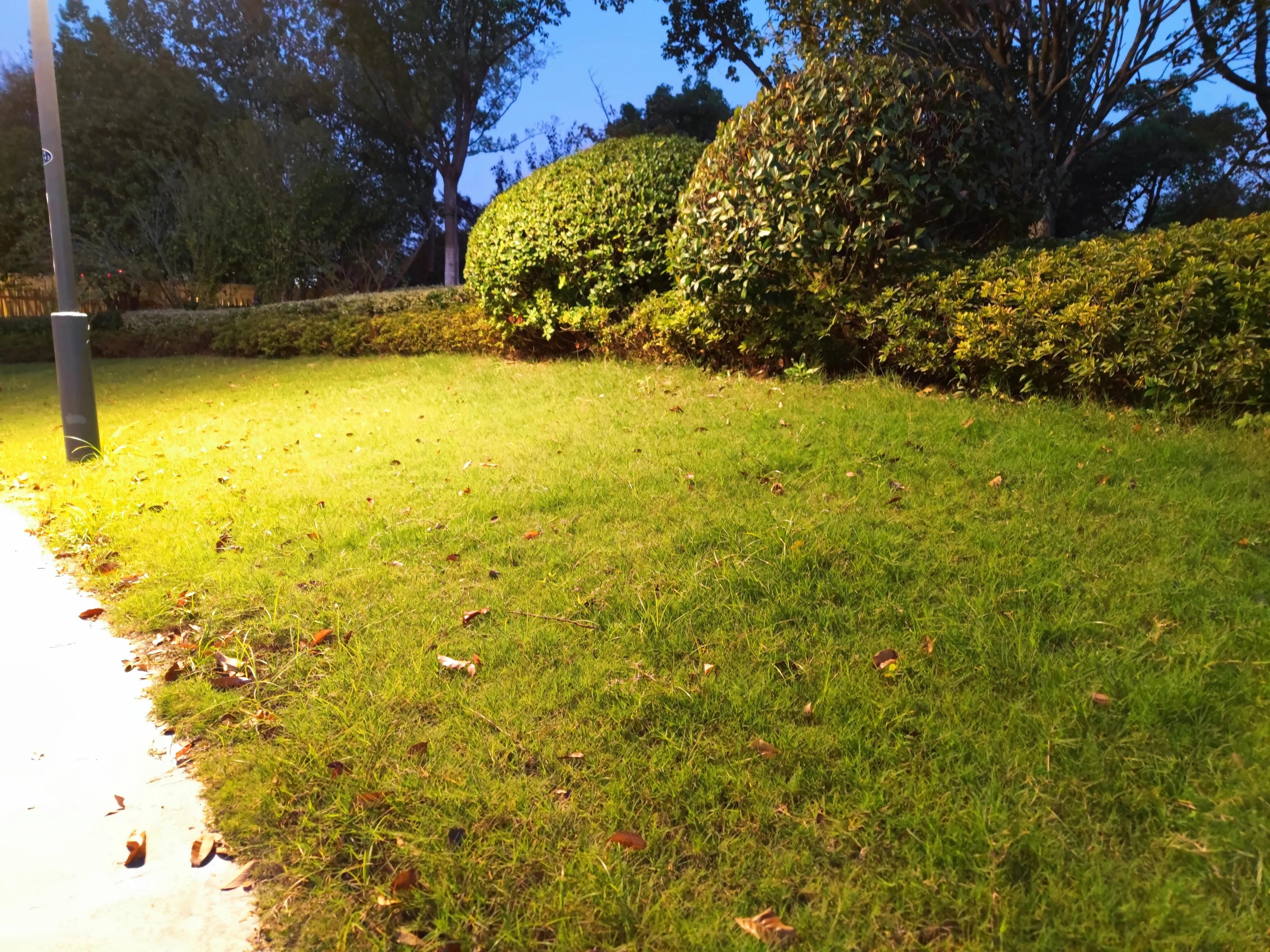 晚游扬州,夜游仙林湖