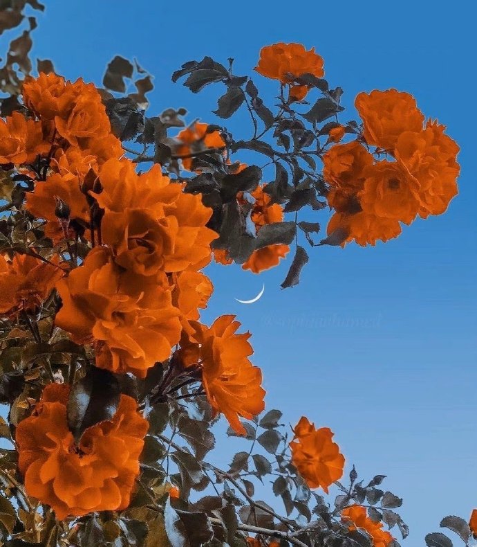 人生最好的投资是对妻子好,巴菲特最好的投资就是选对妻子