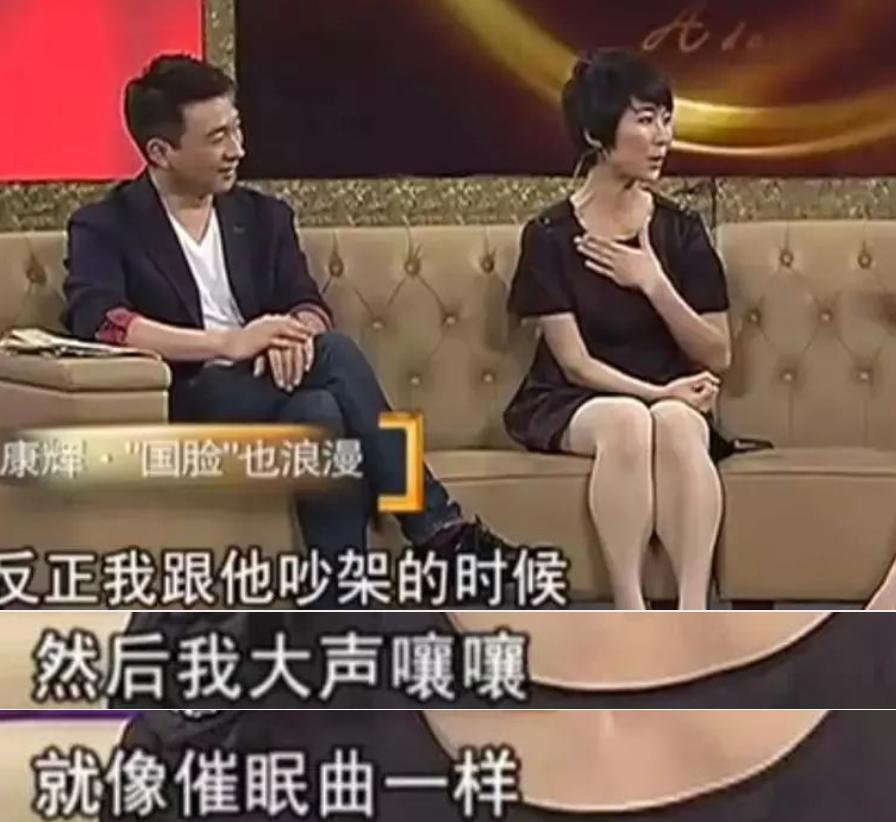 康辉后悔丁克吗,康辉谈后悔丁克视频