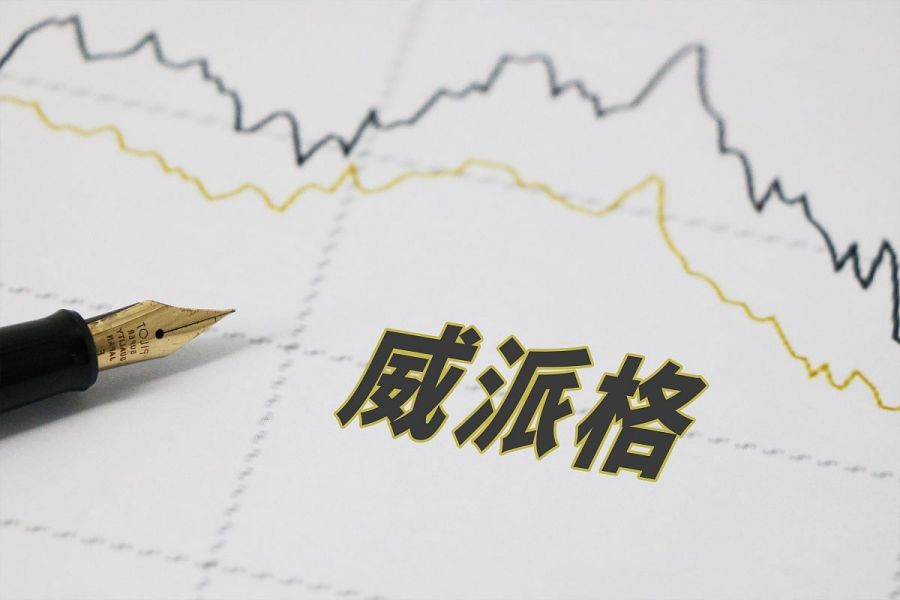 威派格企业文化,威派格智慧水务产品