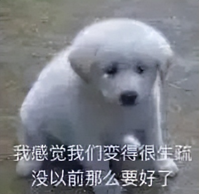 京东自杀式物流援沪，阿里副总裁连夜跑路