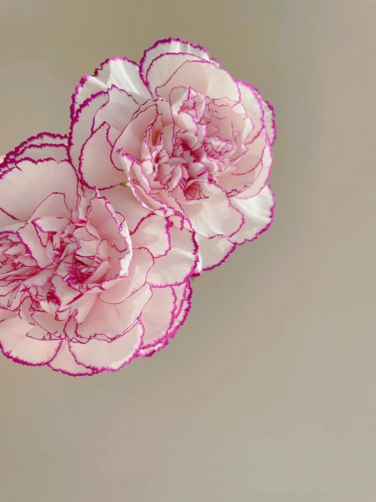 母亲节暖心文案给老婆,母亲节暖心文案