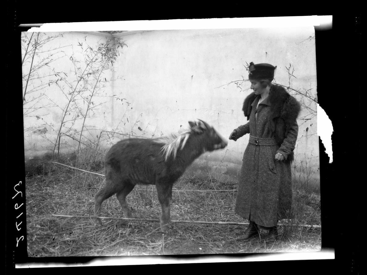 日军当着国军的面杀俘虏,日军侵华兽行