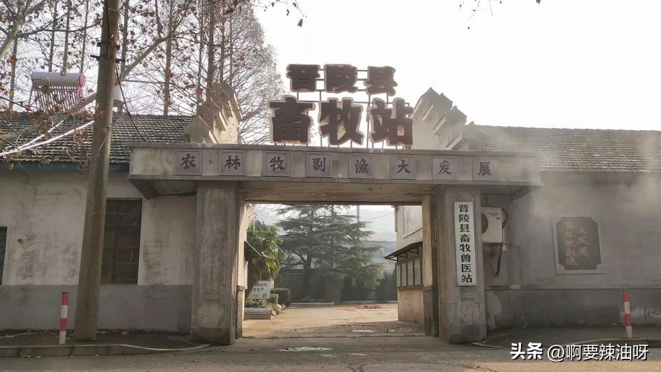 六朝古都金陵圣地,南京冶山遗址