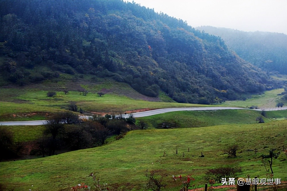 侯海洋基层风云全文免费阅读,侯海洋基层风云完整版免费听