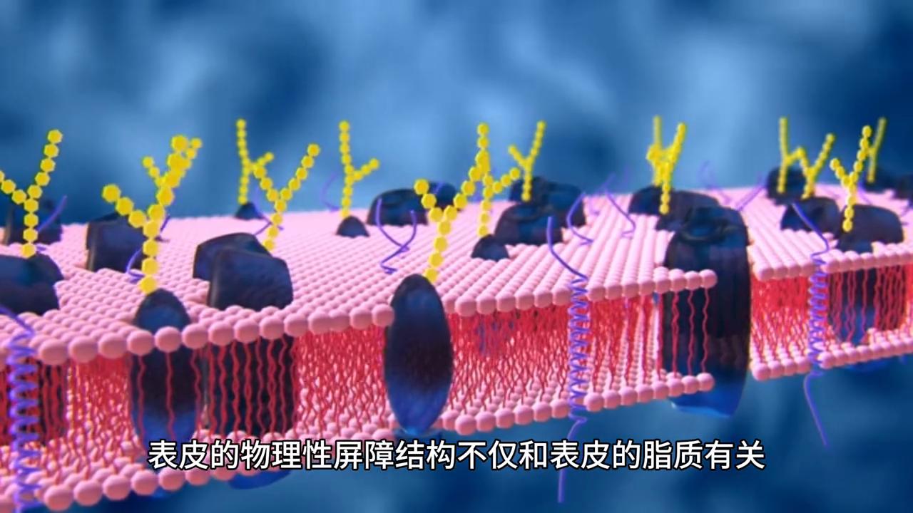 做了皮肤管理脸颊发红还干皮了,脸总是红红的怎么回事