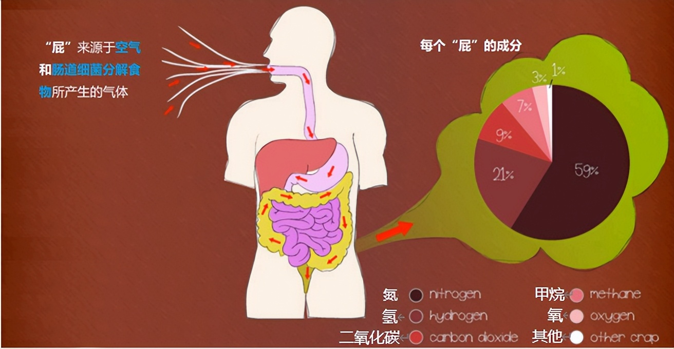 放屁太多是肠道病变的警示,放屁多与肠胃有关系吗