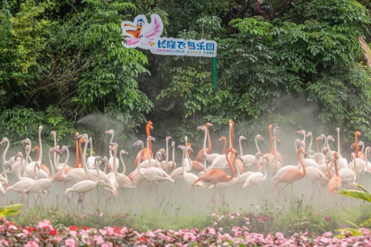 广州长隆酒店童趣乐园,广州游玩长隆性价比超高的酒店