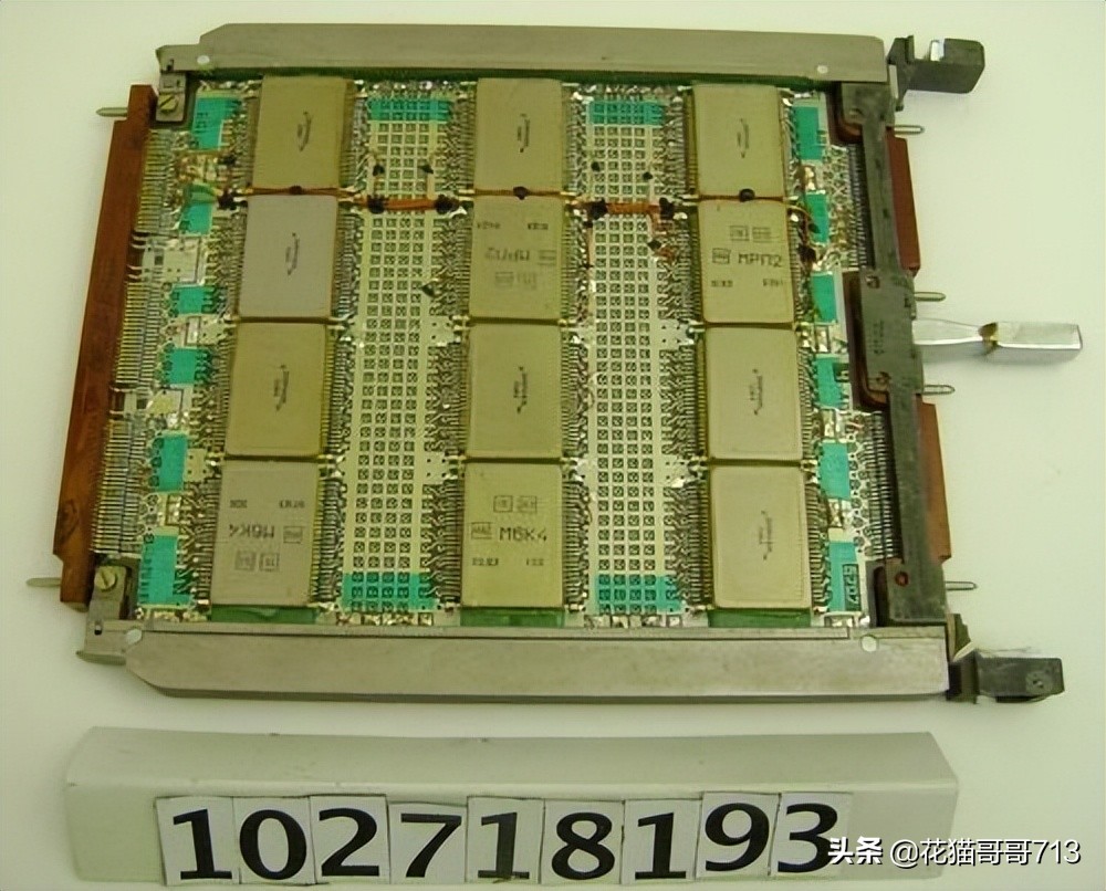 猫哥俄罗斯,猫哥在俄罗斯最新视频