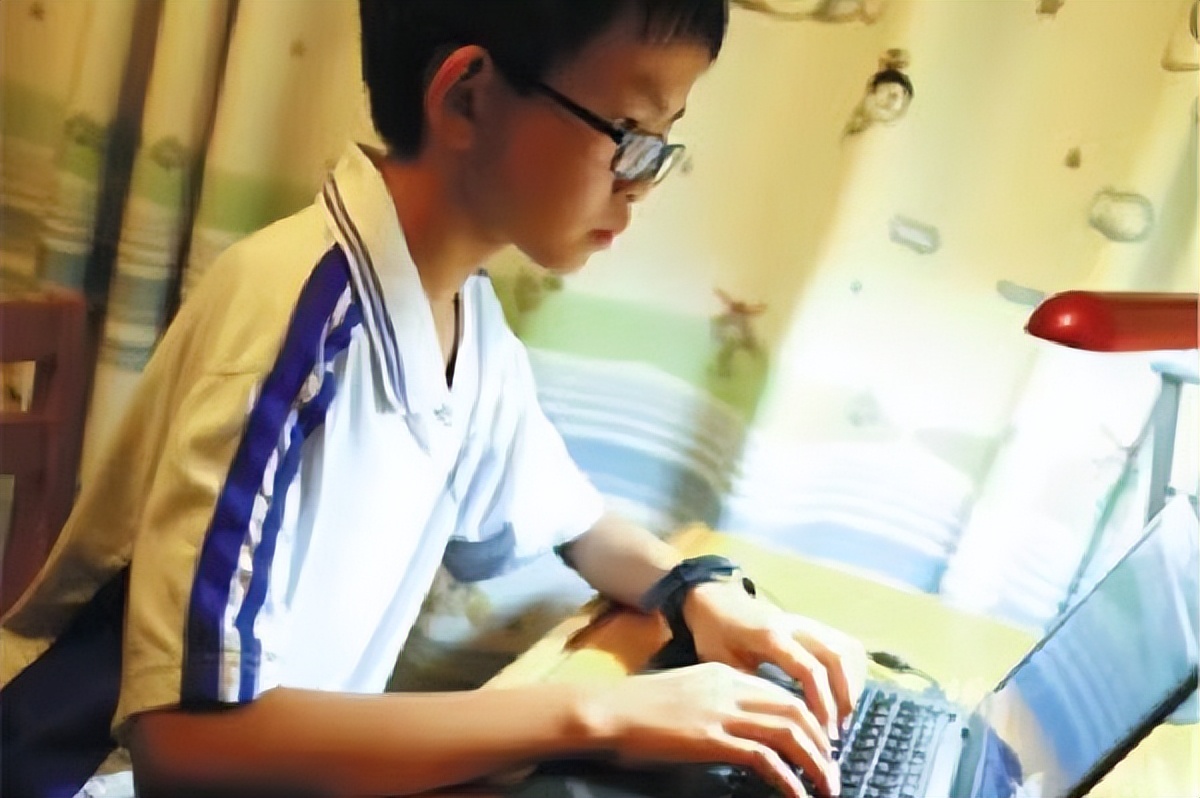 汪正扬上网偷菜,汪正扬偷菜游戏