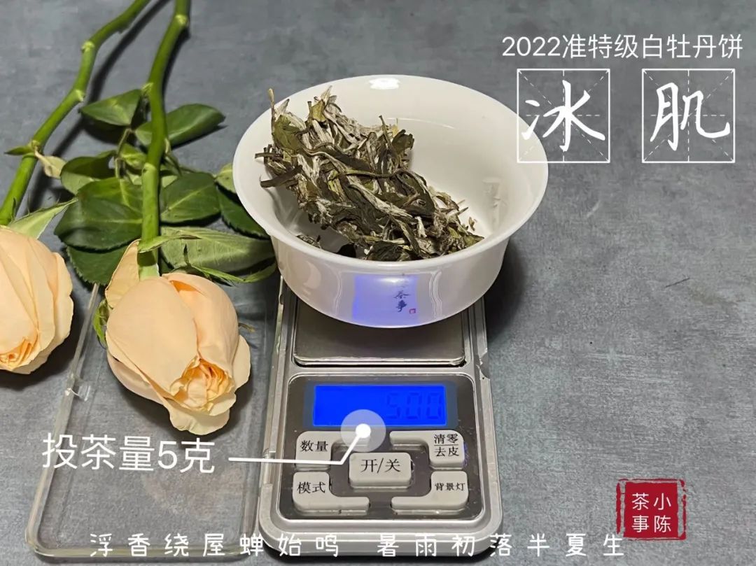 白茶闻着啥味,白茶好闻不