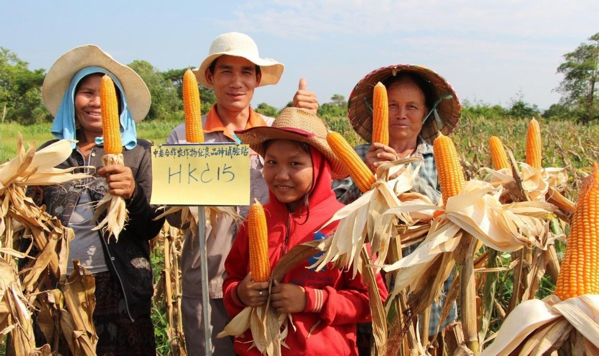 广西农产品产业链,广西农产品产业集群化