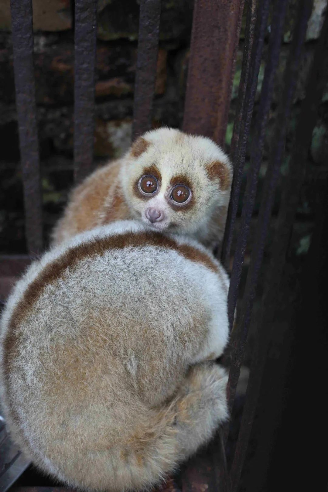 昆明七彩云南怎么样,七彩云南避暑家园
