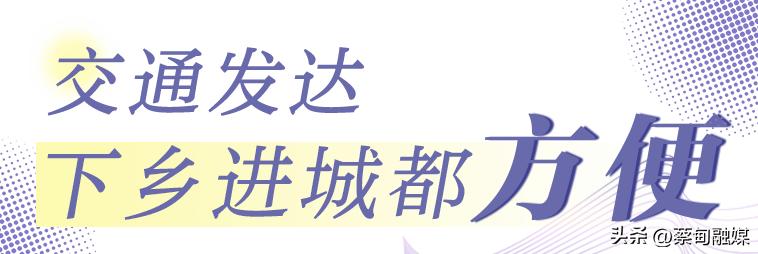 蔡甸区最新重点建设,蔡甸中法生态宜居新城