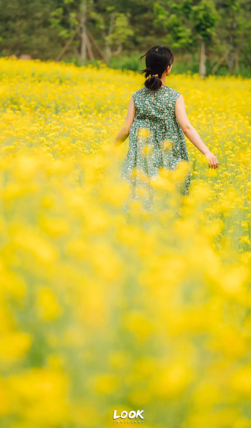 北京居庸关花海栈道,北京四季花海景区