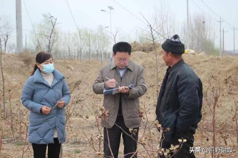 巨野县农广校：早春人不闲跟踪服务在田间