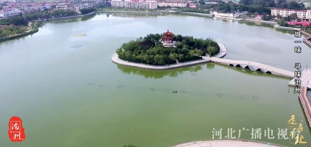 周末到河北|一城一味——寻味沧州