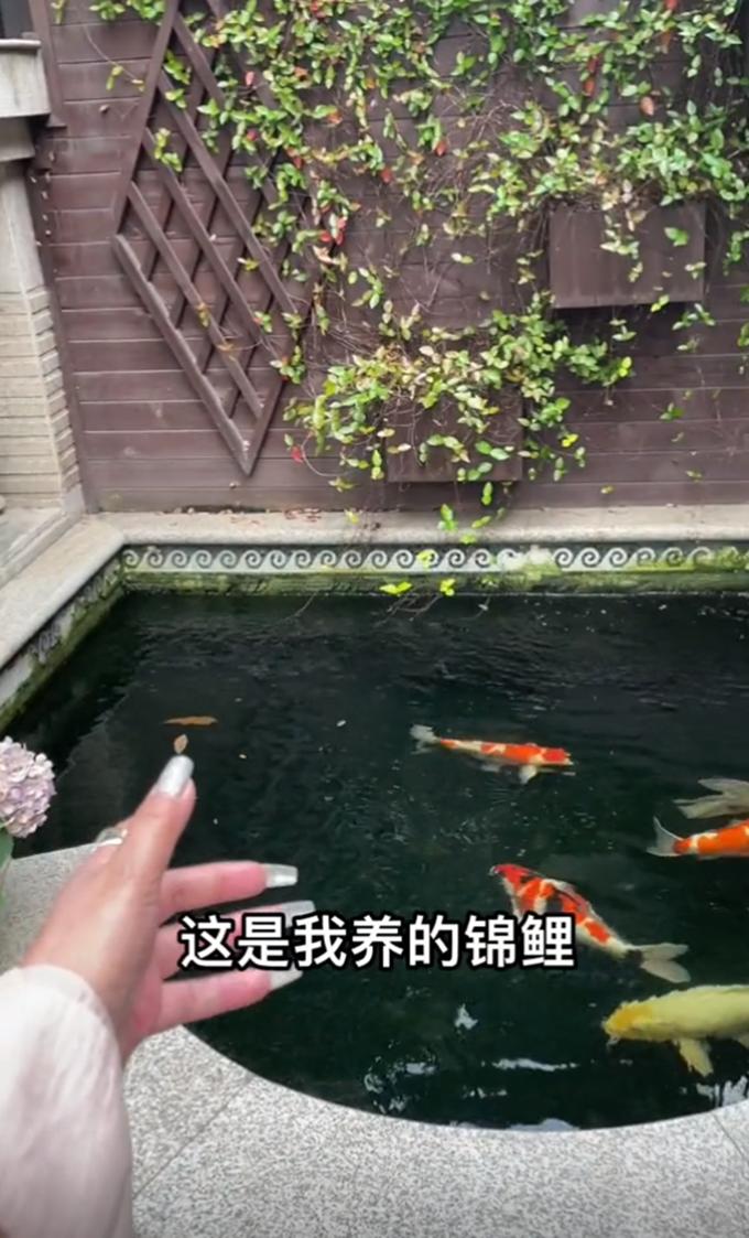 台湾歌手千百惠简介,台湾歌手千百惠定居成都百度视频