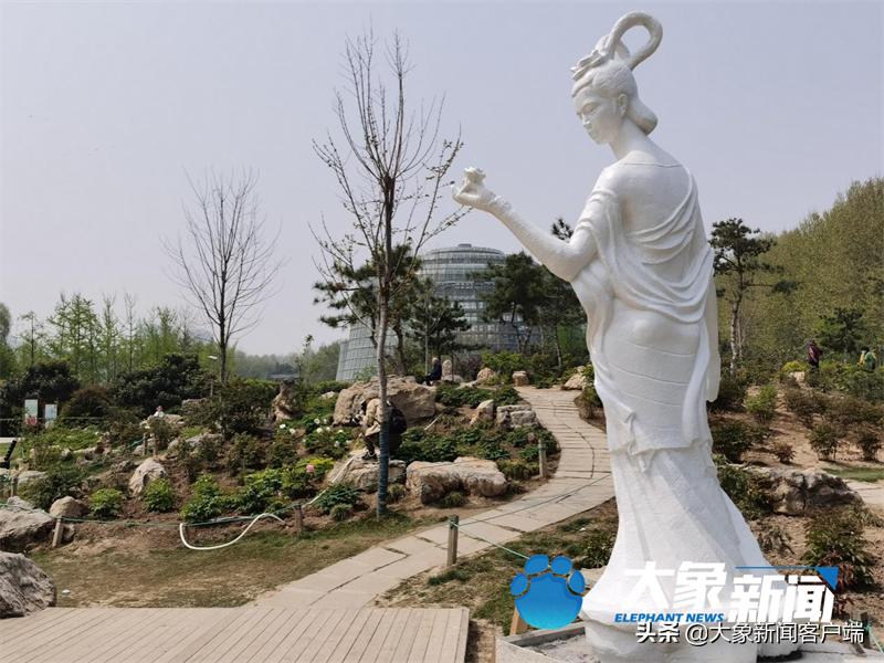 今年郑州牡丹最佳观赏时间,郑州哪里有好看的牡丹